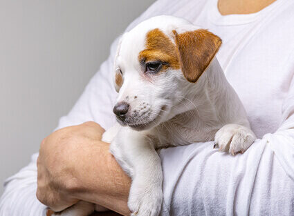 info-box–care-2 info-box--care-2