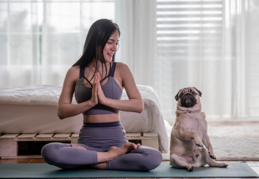 yoga per cani