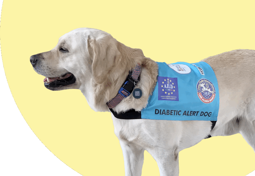 cani allerta diabete e peste suina