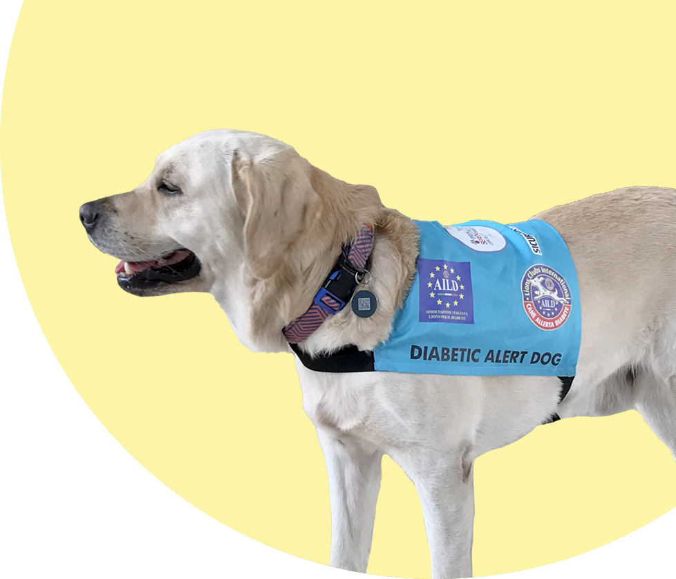 cani allerta diabete e peste suina