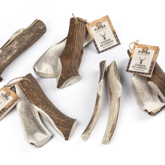 CORNA DI CERVO APERTA L 120-160 G