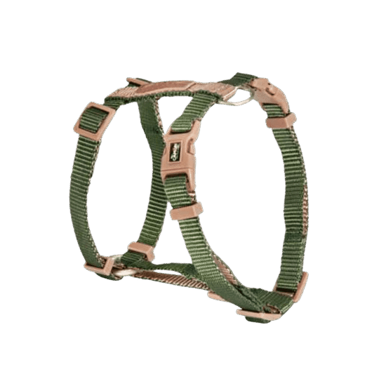 CAMON PETTORINA REGOLABILE H DoublePremium Verde Ecru 25x600 1000mm