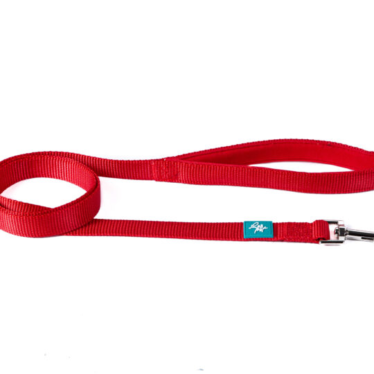 GUINZAGLIO IN NYLON ROSSO XS-S 120X1,5 CM