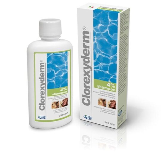 CLOREXYDERM 4% SHAMPOO 250ML