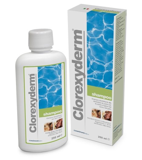 CLOREXYDERM SHAMPOO 250ML