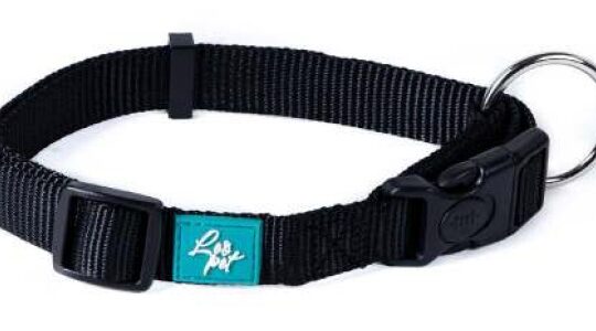 COLLARE IN NYLON NERO M 40-55X2,0 CM