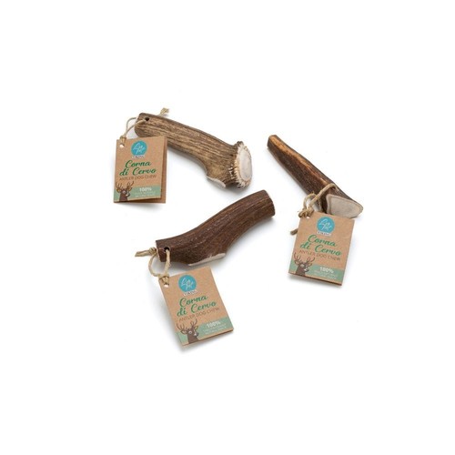 CORNA DI CERVO CHIUSA XL 160-250 G