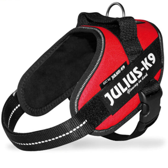 JULIUS-K9 POWERHARNESS PETTORINA ROSSO MINI 49-67CM-7-15 KG