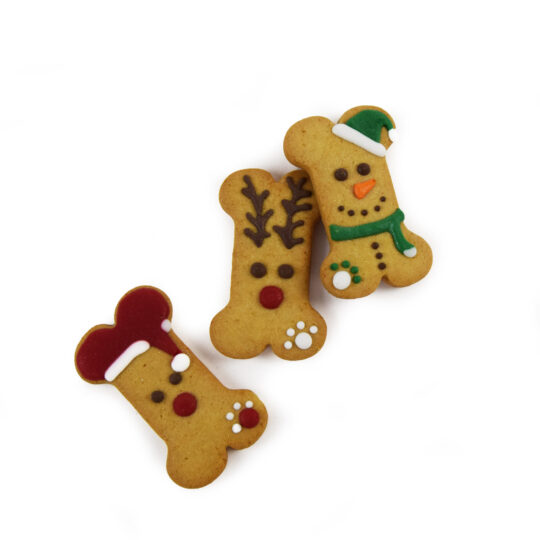 BISCOTTO A FORMA DI OSSO DI NATALE COLORI ASS. 30 G