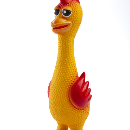 LEOPET GALLETTO IN LATTICE 25X8 CM