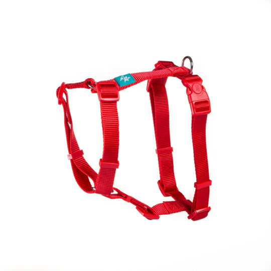 PETTORINA AD H IN NYLON ROSSO S 40-57X1,5 CM