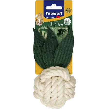 Palla annodata, Forest Love