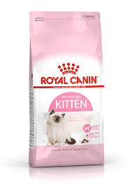 RC KITTEN 36 400GR GATTO