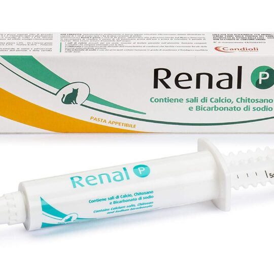 RENAL P PASTA 15ML