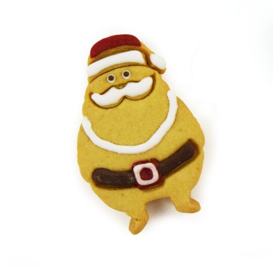 LEOPET BISCOTTO A FORMA DI BABBO NATALE O RUDOLPH da 20 G