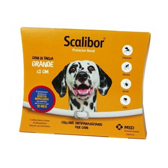 SCALIBOR PROTECTORBAND LARGE 65CM