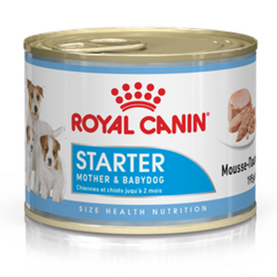 RC STARTER MOUSSE UM 195GR CANE
