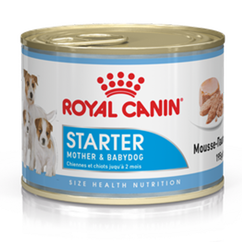 RC STARTER MOUSSE UM 195GR CANE