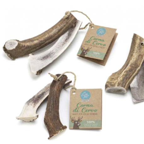 CORNA DI CERVO APERTA S 50-80 G