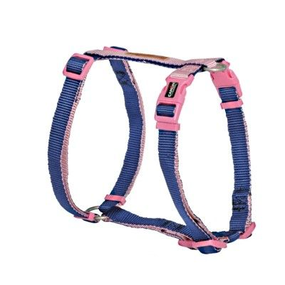 CAMON PETTORINA REGOLABILE H DoublePremium Blu Rosa 25x600 1000mm