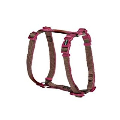 CAMON PETTORINA REGOLABILE H DoublePremium Marrone Ciclamini 25x600 1000mm