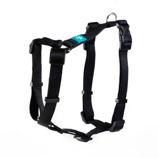 LEOPET PETTORINA AD H IN NYLON NERO XS 30-40X1,5 CM