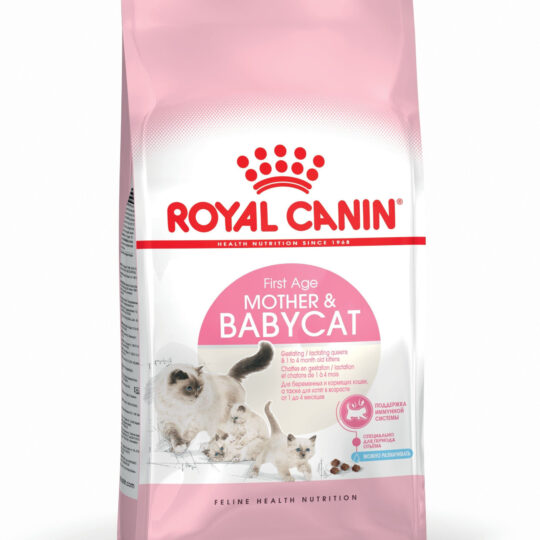 RC BABY CAT & MOTHER 400GR