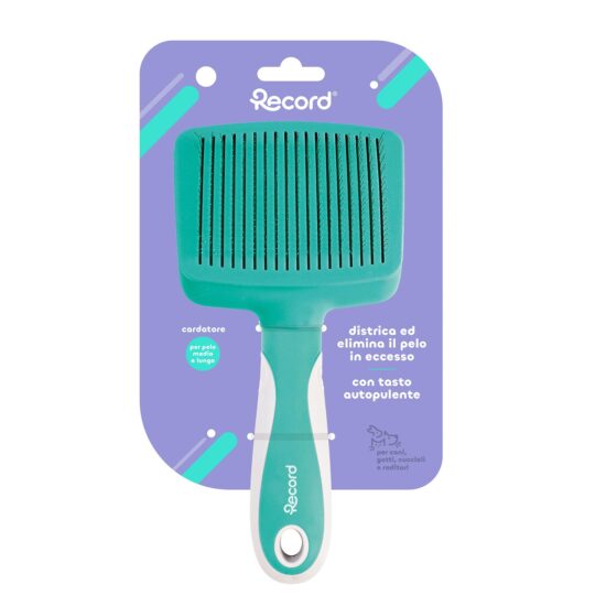 RECORD HAIRMONY CARDATORE AUTO PULENTE M/L 10X20.5 CM