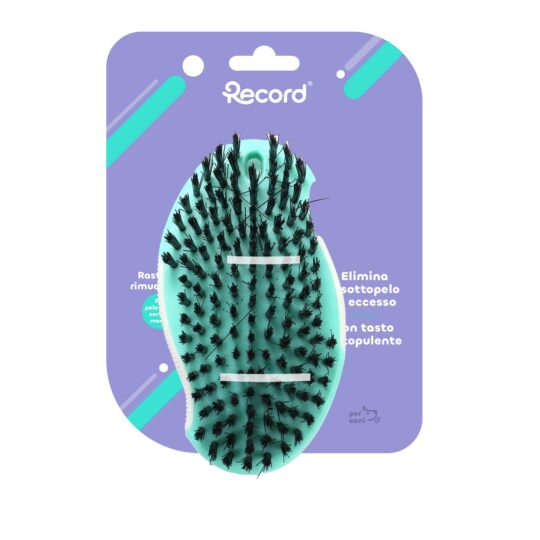 RECORD HAIRMONY PETTINE ANTIPLUCI 62 DENTI 5X22 CM