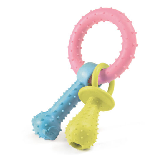 RECORD PRIMI MORSI DUETTO GIOCO IN TPR COLORI ASSORTITI 15,3 cm