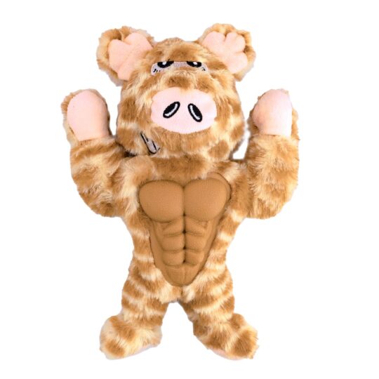 RECORD MUSCOLOSSI GIOCO PER CANI MAIALE 25CM