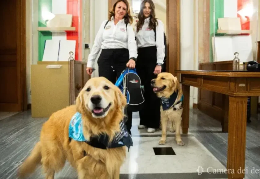 progetto serena onlus