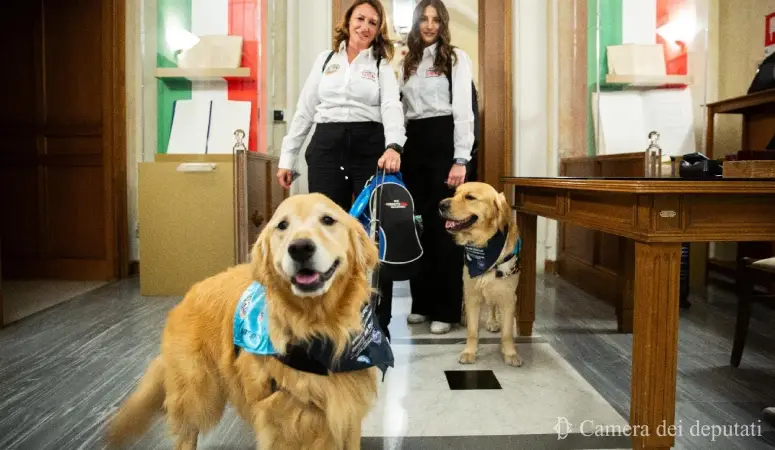 progetto serena onlus