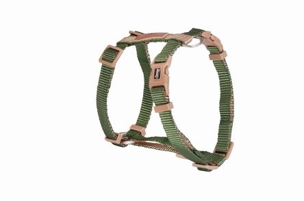 Camon Pettorina regolabile "H" DoublePremium Verde/Ecru 25x600~1000mm