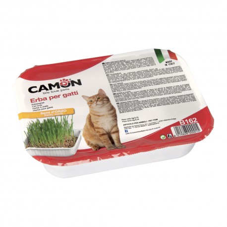 CAMON ERBA PER GATTI AI SEMI D'ORZO
