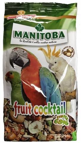 MANITOBA FRUIT COCKTAIL 700 GR