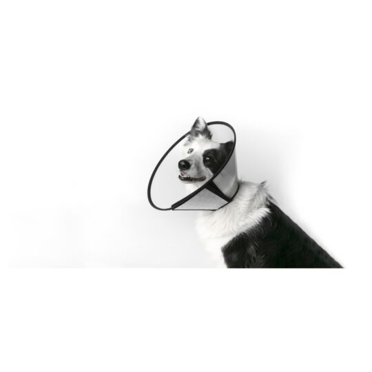 LEOPET COLLARE CHIRURGICO CON VELCRO E BORD TG.S