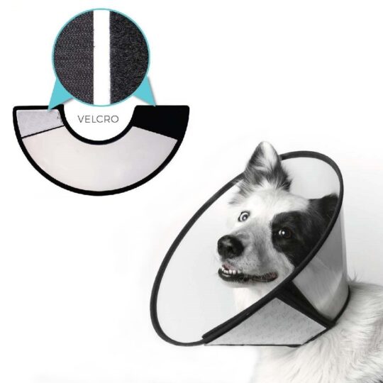 LEOPET COLLARE CHIRURGICO CON VELCRO E BORD TG.L