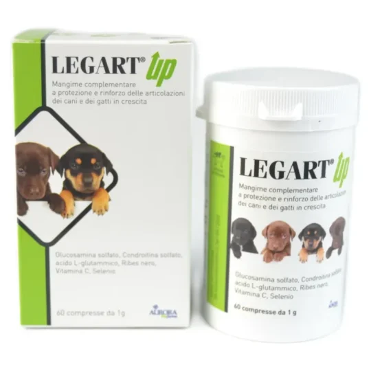 LEGART UP 60 COMPRESSE DA 1 GR