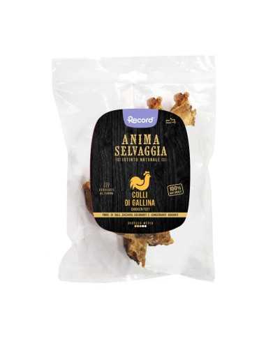 GALLINA