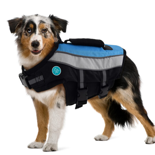 LEOPET GIUBBOTTO GALLEGGIANTE BLU CON MANIGLIA L