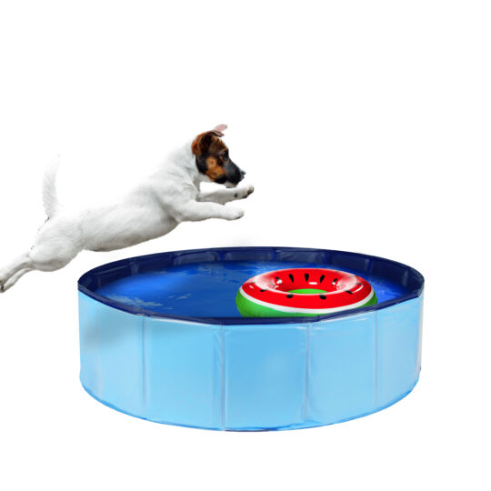 LEOPET PISCINA PER CANI S 80X30H CM 75 L