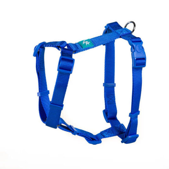 LEOPET PETTORINA AD H IN NYLON BLU M 55-76X2,0CM