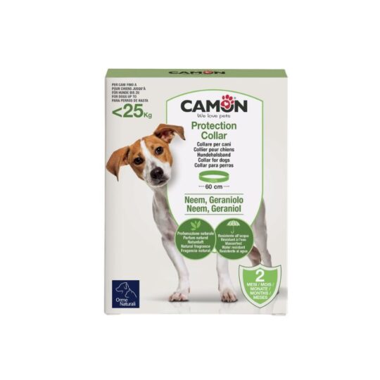 COLLARE PROTECTION CANE