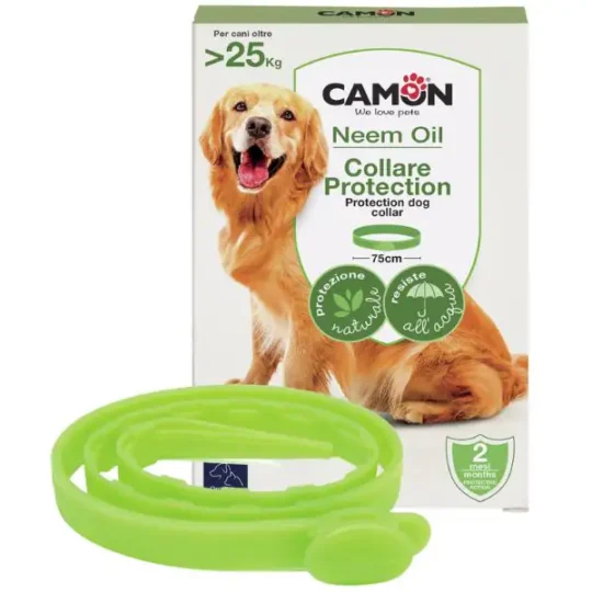 COLLARE PROTECTION CANE GRANDE