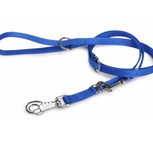CAMON Guinzaglio Addestramento MM 25X2000 - Blu